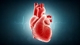 Your 30s Blood Pressure: The Hidden Predictor of Heart Attack Risk at 50