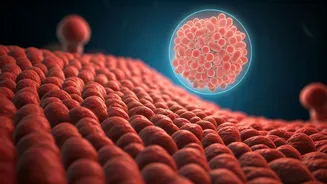 Shigella Alert in Kerala: Understanding and Preventing This Contagious Intestinal Infection