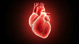 5 Proven Ways to Boost Your Longevity