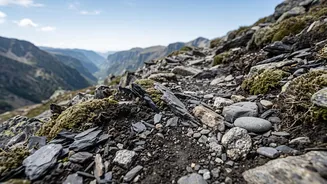 How barefoot hiking tests foot control