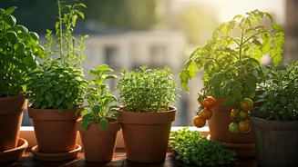 Gardening Is India's New Lifestyle