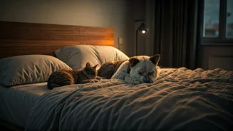 Related Stories banner