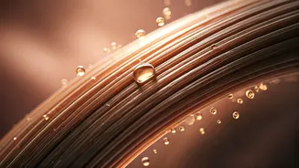 Related Stories banner