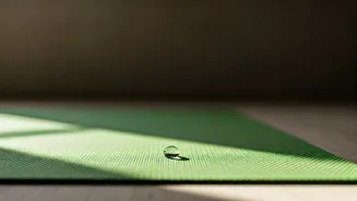 Related Stories banner