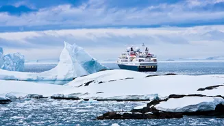 The Ultimate Antarctica Bucket List: 7 Experiences You Can’t Miss