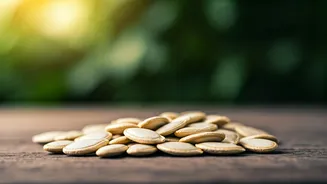 Pumpkin Seeds Can Improve Sleep And Digestion
