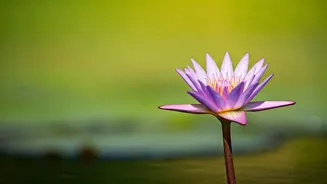 Samantha Found Strength Through Self-Growth