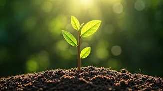 12 Life-Shaping Sentences for Your Child's Confidence and Emotional Strength by Age 10