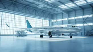 Google Wins a $10 Million Auction for Spirit Airlines Data