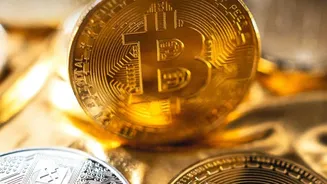 How To Build Digital Gold Reserves Without Paying Heavy Storage Fees