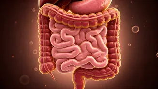 Antibiotic Misuse: 10 Ways It Can Wreck Your Gut Health