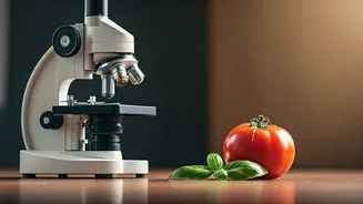 Food Science Is Making Home Food Look Brilliant