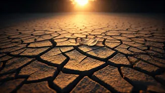 Rainfall Deficit At 46%: The Brutal Climate Reality Check