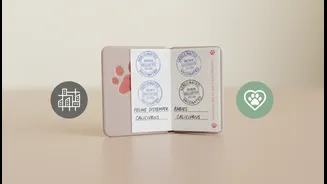 Pet Registration Beyond Dogs: a clearer explainer on vaccination records, civic planning and responsible ownership