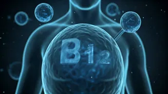 The Truth About B12: Why Indian Vegetarians Fail Tests