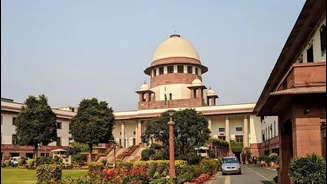 'Set timelines, don't adjourn': SC orders urgent bail hearings