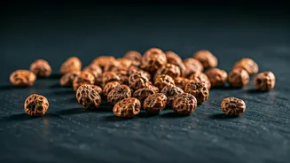 Tigernuts: Unveiling the Nutritional Powerhouse Root You Need in Your Diet!