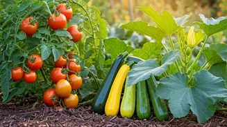 Hardy Veggies Are The Smart Summer Plant Choice