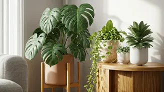 Indoor Plants Are The Cheapest Wellness Decor