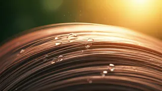 Related Stories banner