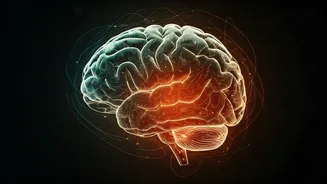Mental Exercises: Your Brain's Workout Routine!