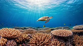 Explore Deep Blue Marine Paradises Via Fresh Maldives Itineraries