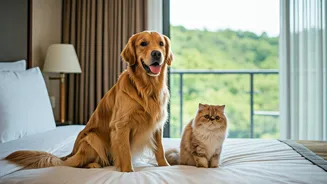 Indian Pet Parents Want Holidays Without Leaving Pets