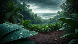 Kerala, Tamil Nadu, Lakshadweep Are June’s Rain Picks
