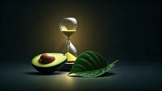 Related Stories banner