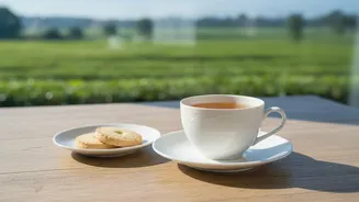 A Clear Plan For Speciality Tea Shopping Connects Origin And Ingredients And Caffeine