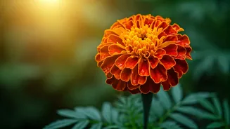 Chaitra Navratri 2026: Embrace Divine Energy with 75+ Wishes, Mantras & Quotes