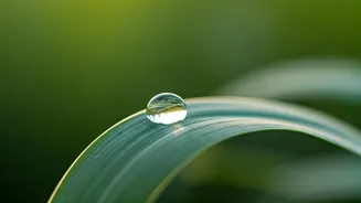 Breathwork Is Becoming A Travel Hook