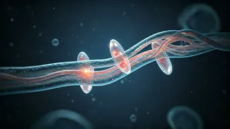 Umbilical Cord Preservation: A Lifelong Health Investment for Your Child