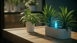 Indoor Plants Are Getting A Cleaner 2026 Makeover
