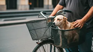 Mumbai Man's Bicycle Journey: A Heartwarming Act of Kindness for a Sick Community Dog