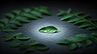 Related Stories banner