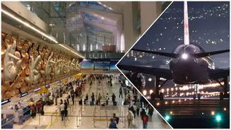 Delhi IGI Airport Outage: What Exactly Is the Tech Glitch, How Authorities Are Dealing as Over 300 Flight Ops Hit