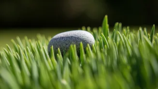 Wellness Strategies Help You Navigate Stress