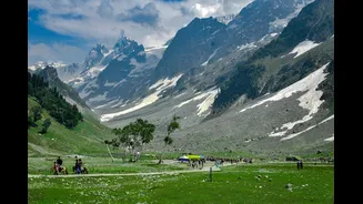 Fresh Snowfall and Rain Sweep Jammu & Kashmir