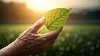 Climate Change's Hidden Impact: Protecting Your Skin from Harsh Environmental Assaults