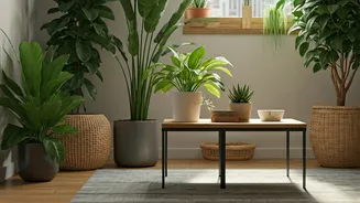 Pet-Safe Biophilic Decor Is The New Urban Flex