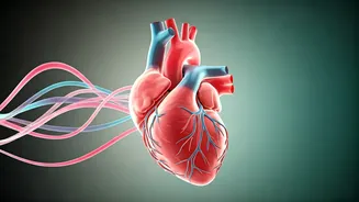 Cardio Medithon 5: Empowering Women to Prioritize Their Heart Health