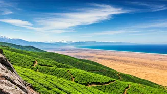 Related Stories banner