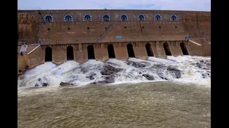 Cauvery Row: Give Tamil Nadu 12,000 Cusecs For 15 Days, River Water Panel Tells Karnataka