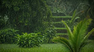 Kerala In The Rain Beats Peak-Season Chaos