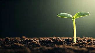 Early Gestational Diabetes: A Comprehensive Guide for Expecting Mothers