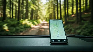 Download Offline Emergency Mapping Software Before Forest Road Trips