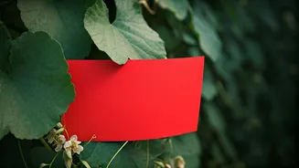 The Red Flag Trap: Why We Over-Analyze Relationships and Miss the Good