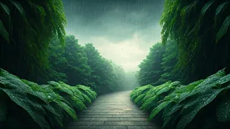 Rain-Light Romantic Escapes Need Better Attention Now