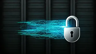 Staying Secure: Protecting Your Digital Life in India